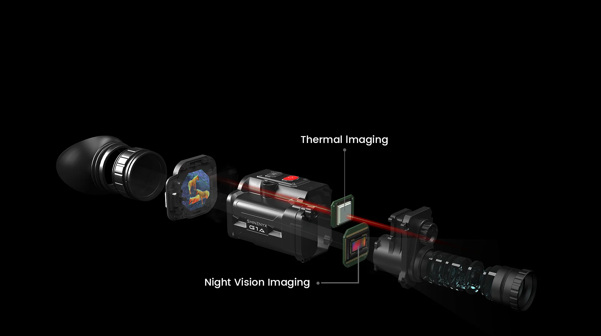 F.I.T. Image