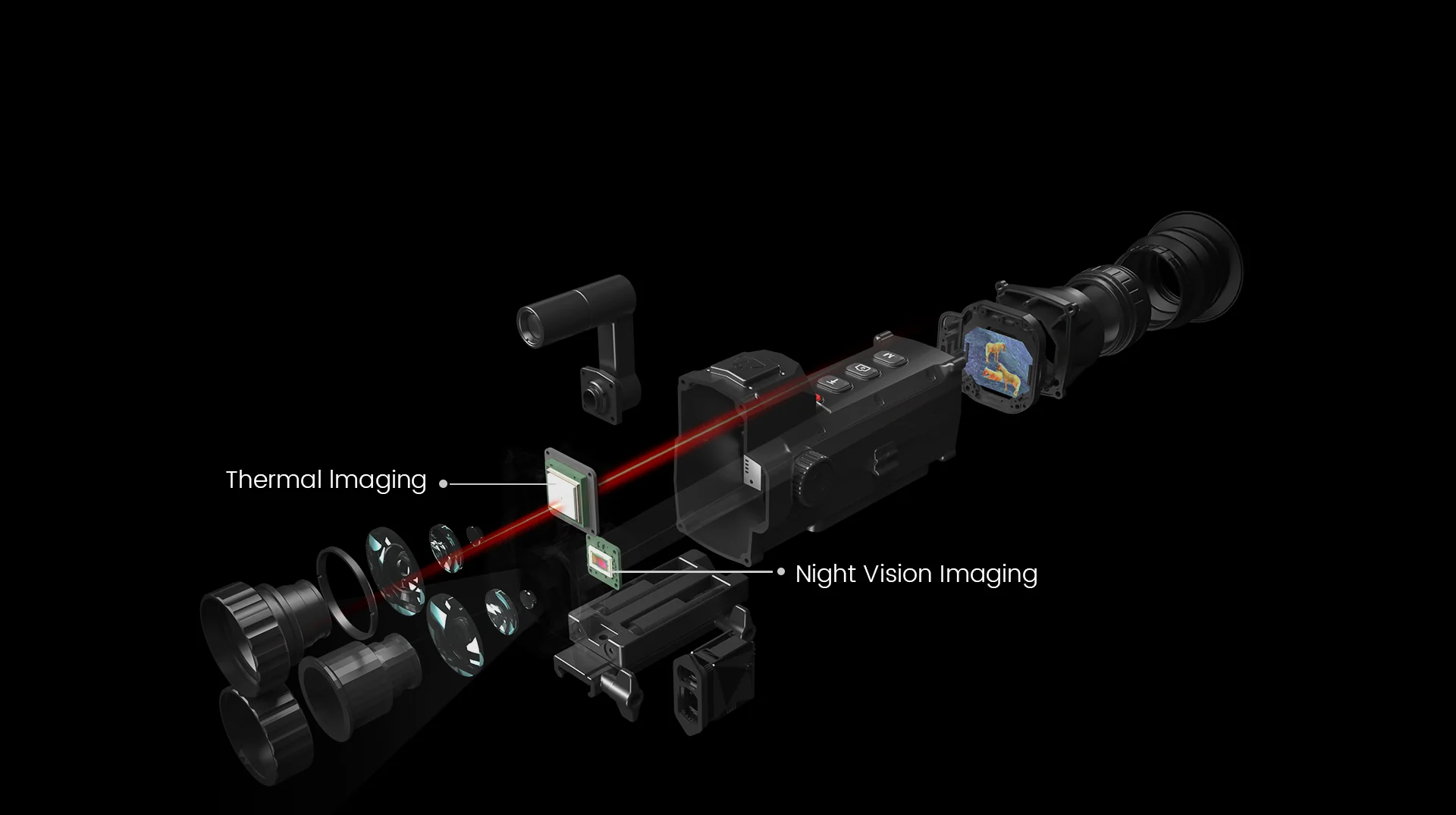 F.I.T. Image